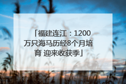福建连江：1200万只海马历经8个月培育 迎来收获季