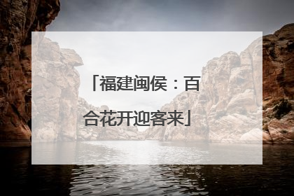 福建闽侯：百合花开迎客来