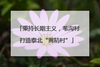 秉持长期主义，苇沟村打造泰北“黄精村”