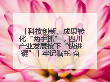 科技创新、成果转化“两手抓”，四川产业发展按下“快进键”丨牢记嘱托 奋力打造两高地两基地一屏障