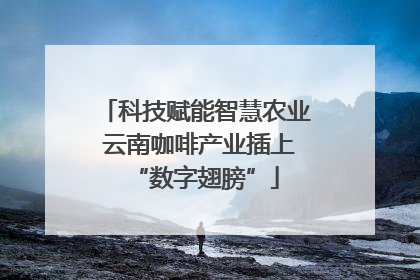 科技赋能智慧农业 云南咖啡产业插上“数字翅膀”