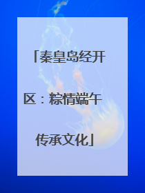 秦皇岛经开区：粽情端午 传承文化