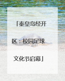 秦皇岛经开区：校园足球文化节启幕