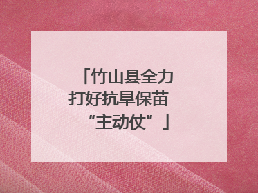 竹山县全力打好抗旱保苗“主动仗”