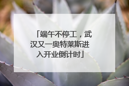 端午不停工，武汉又一奥特莱斯进入开业倒计时