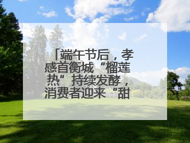 端午节后，孝感首衡城“榴莲热”持续发酵，消费者迎来“甜蜜”囤货期