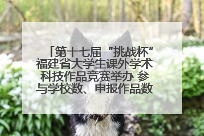 第十七届“挑战杯”福建省大学生课外学术科技作品竞赛举办 参与学校数、申报作品数创历史新高