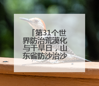 第31个世界防治荒漠化与干旱日，山东省防沙治沙经验交流会在东阿县举办