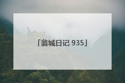 翁城日记 935