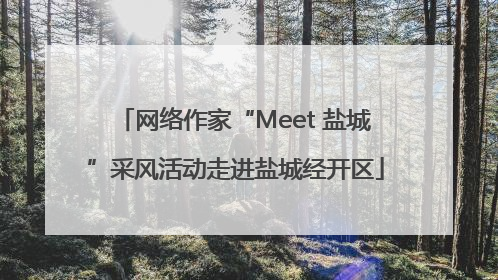 网络作家“Meet 盐城”采风活动走进盐城经开区