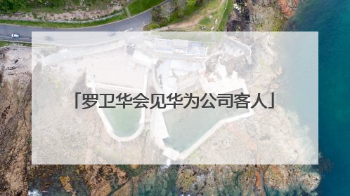 罗卫华会见华为公司客人