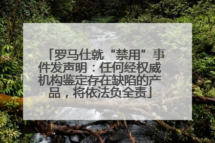 罗马仕就“禁用”事件发声明：任何经权威机构鉴定存在缺陷的产品，将依法负全责
