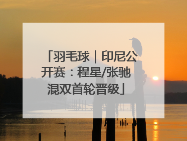 羽毛球｜印尼公开赛：程星/张驰混双首轮晋级