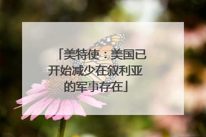 美特使：美国已开始减少在叙利亚的军事存在