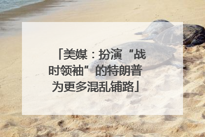 美媒：扮演“战时领袖”的特朗普为更多混乱铺路