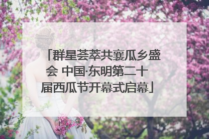 群星荟萃共襄瓜乡盛会 中国·东明第二十届西瓜节开幕式启幕