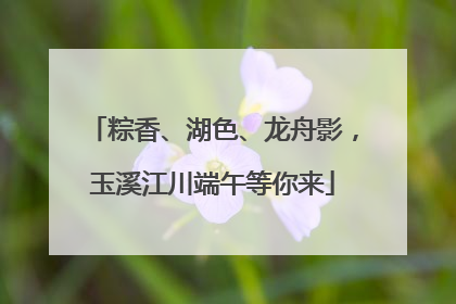 粽香、湖色、龙舟影，玉溪江川端午等你来