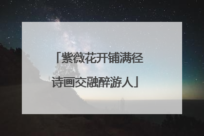紫薇花开铺满径 诗画交融醉游人