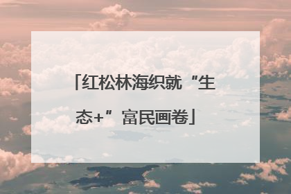 红松林海织就“生态+”富民画卷