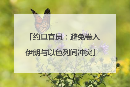 约旦官员：避免卷入伊朗与以色列间冲突