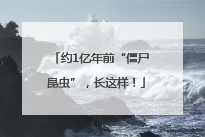 约1亿年前“僵尸昆虫”，长这样！