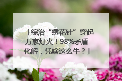 综治“绣花针”穿起万家灯火！98%矛盾化解，凭啥这么牛？
