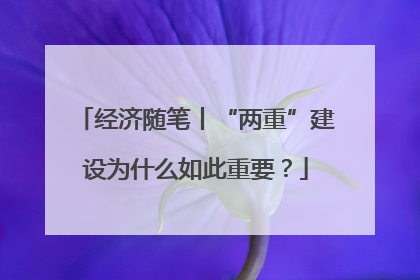 经济随笔丨“两重”建设为什么如此重要？