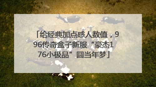 给经典加点感人数值，996传奇盒子新服“豪杰176小极品”圆当年梦