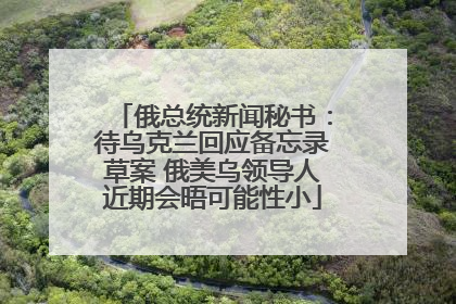 俄总统新闻秘书：待乌克兰回应备忘录草案 俄美乌领导人近期会晤可能性小