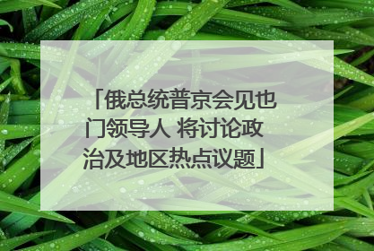 俄总统普京会见也门领导人 将讨论政治及地区热点议题