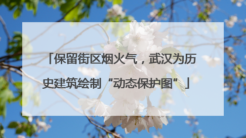 保留街区烟火气，武汉为历史建筑绘制“动态保护图”