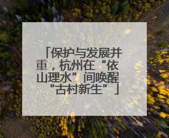 保护与发展并重，杭州在“依山理水”间唤醒“古村新生”
