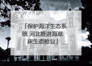 保护海洋生态系统 河北推进海草床生态修复