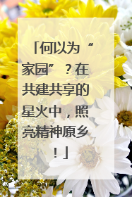 何以为“家园”？在共建共享的星火中，照亮精神原乡！