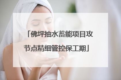 佛坪抽水蓄能项目攻节点精细管控保工期