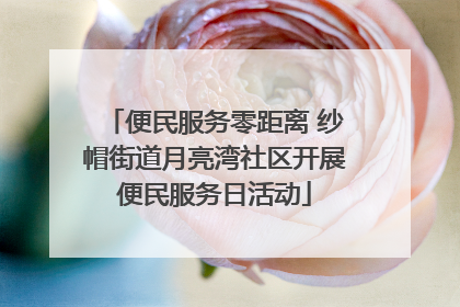 便民服务零距离 纱帽街道月亮湾社区开展便民服务日活动