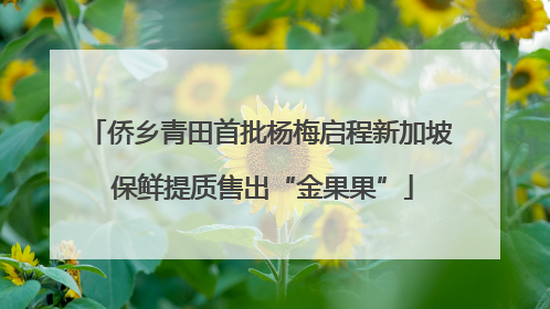 侨乡青田首批杨梅启程新加坡 保鲜提质售出“金果果”