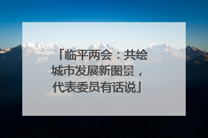 临平两会：共绘城市发展新图景，代表委员有话说
