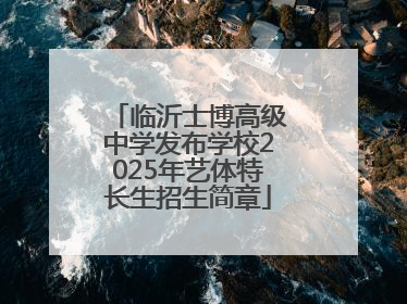 临沂士博高级中学发布学校2025年艺体特长生招生简章