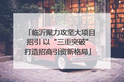 临沂聚力攻坚大项目招引 以“三重突破”打造招商引资新格局