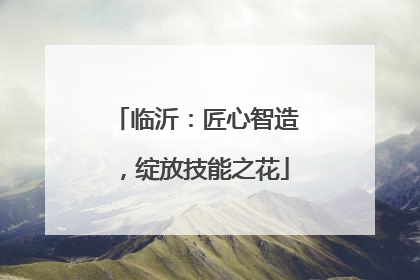 临沂：匠心智造，绽放技能之花