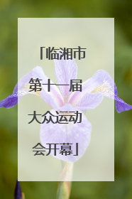 临湘市第十一届大众运动会开幕