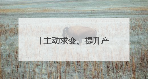 主动求变、提升产品竞争力、“多条腿”走路 跨境电商新大门在打开