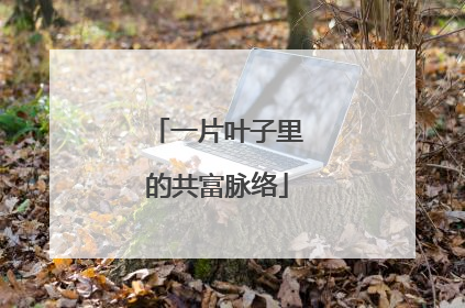 一片叶子里的共富脉络