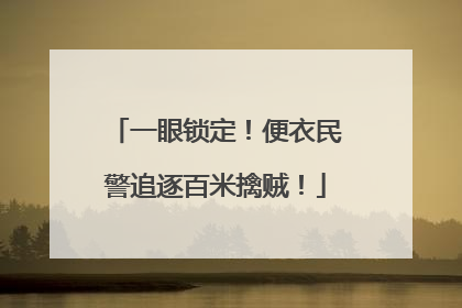 一眼锁定！便衣民警追逐百米擒贼！