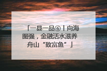 一县一品⑥丨向海图强，金融活水滋养舟山“致富鱼”