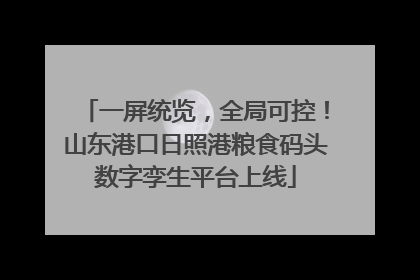 一屏统览，全局可控！山东港口日照港粮食码头数字孪生平台上线