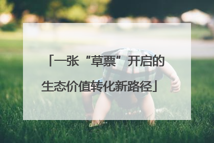 一张“草票”开启的生态价值转化新路径