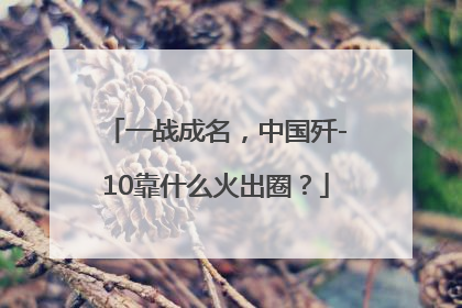 一战成名，中国歼-10靠什么火出圈？