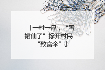 一村一品，“雪裙仙子”撑开村民“致富伞”
